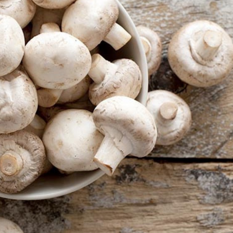 Tortellini con Funghi Champignon - D'Angelo