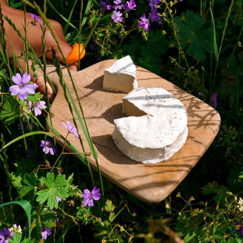 Soft White a Crosta fiorita - New Roots