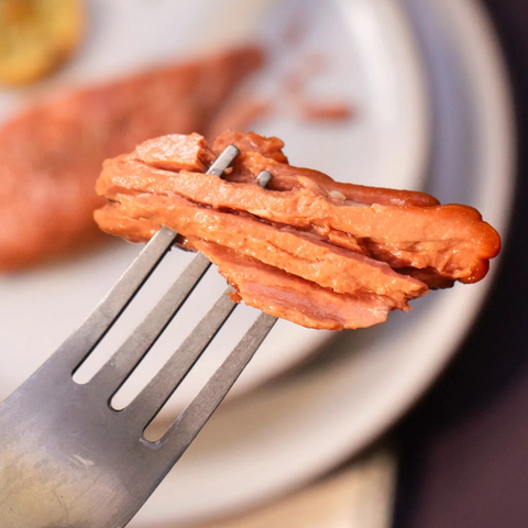 Filetto di Salmone vegan Asian Fusion Style - Revo