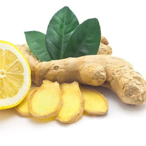 Maionese zenzero e limone - Pangea Food