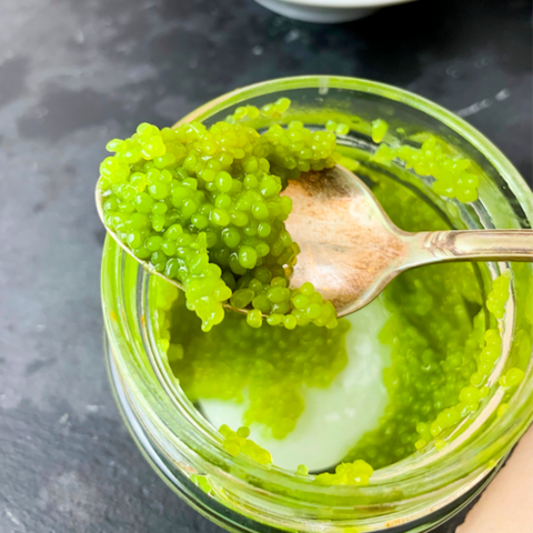 Caviale al Wasabi Vegan - Cavi-art