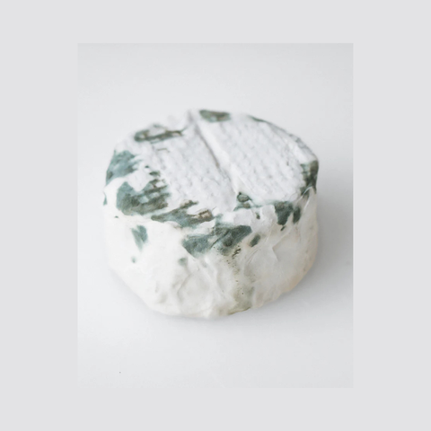Mufferv - Il Cashewficio