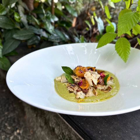 Il Tortello - Pasta Fresca Vegan - Veg Piace